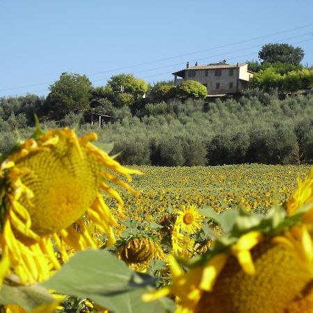 Agriturismo Oliveto Di Geltrude Contessa Apartment Amelia Exterior foto