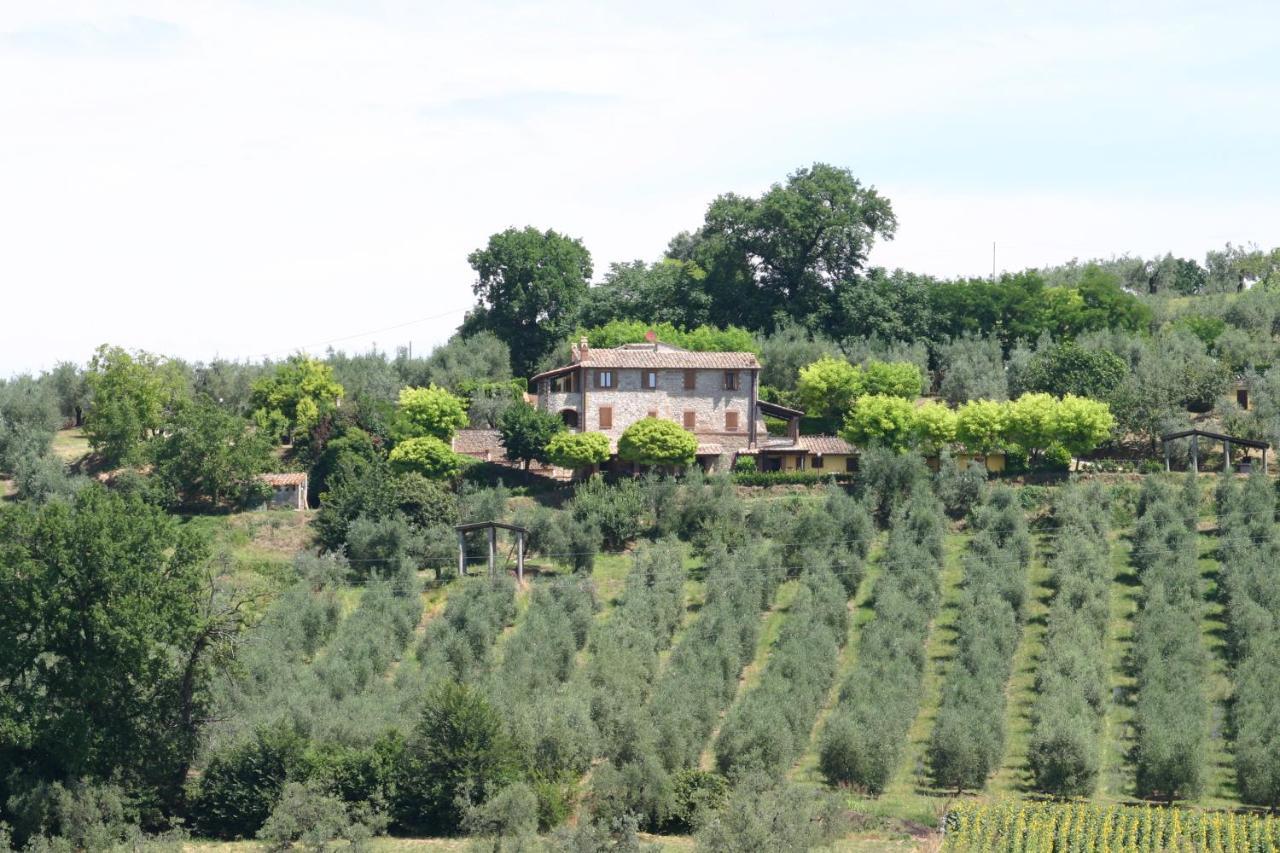 Agriturismo Oliveto Di Geltrude Contessa Apartment Amelia Exterior foto